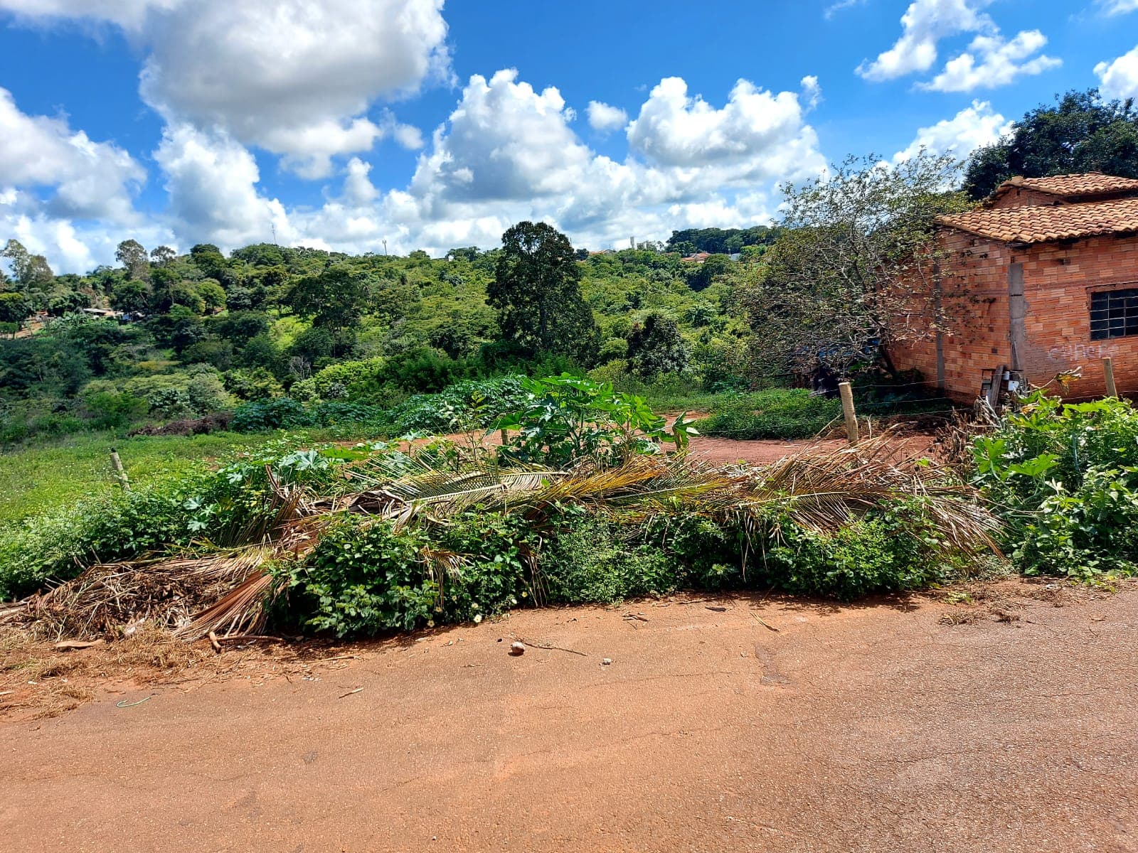 Área 15.497,54 m² área livre para construção