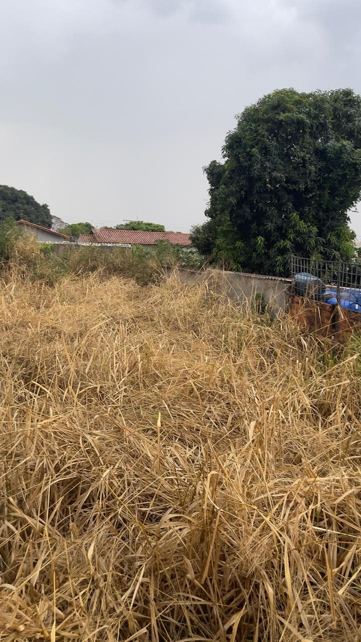 Lote comercial Anel viário na V 8
