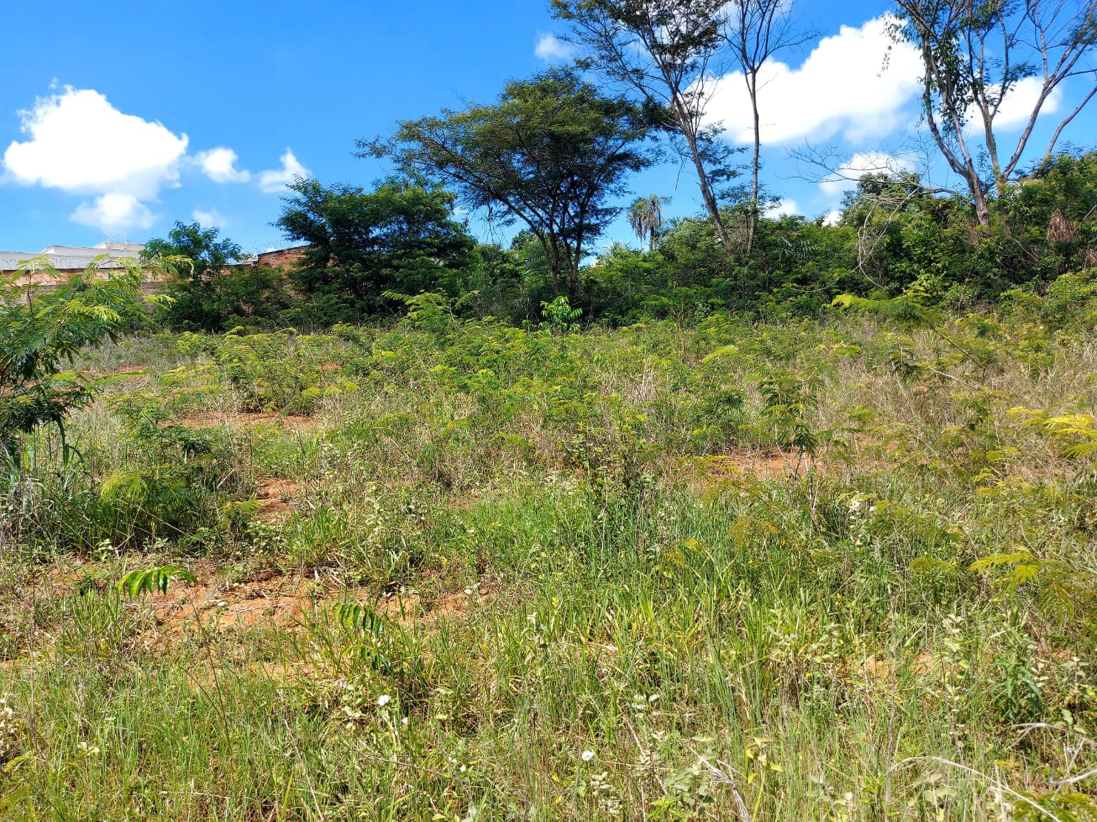 Área 15.497,54 m² área livre para construção