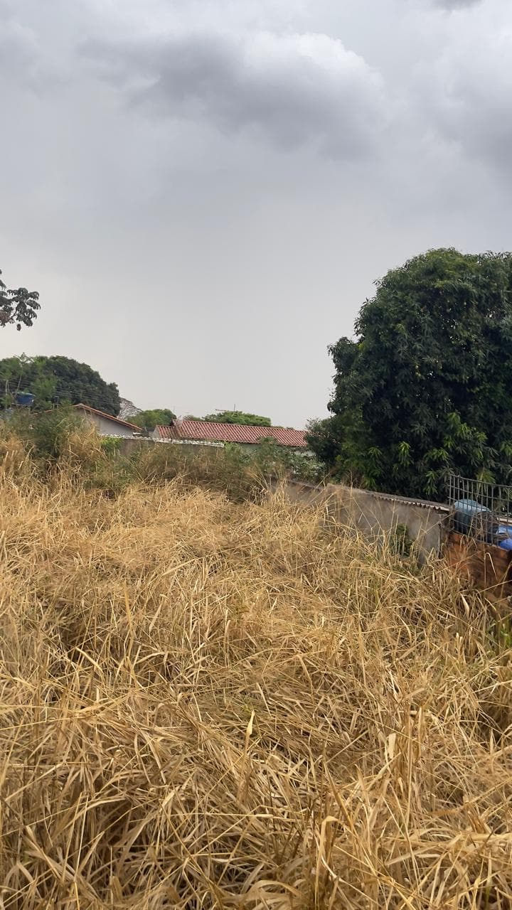 Lote comercial Anel viário na V 8