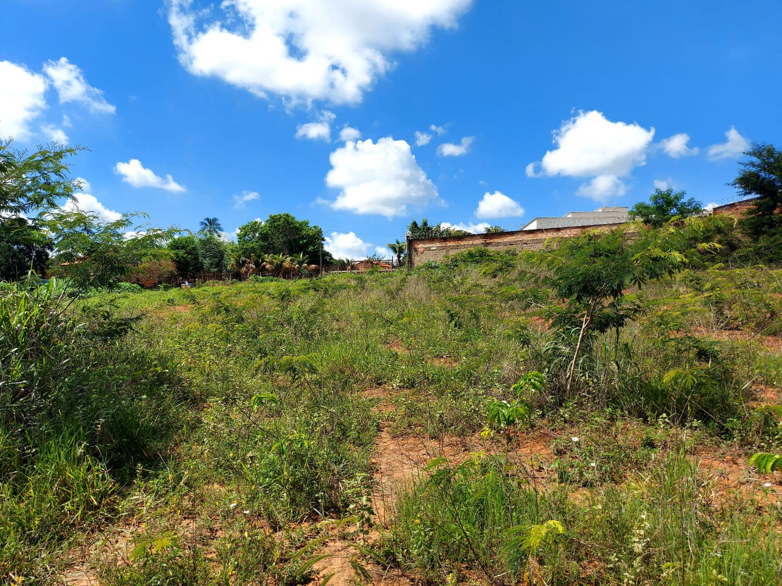 Área 15.497,54 m² área livre para construção